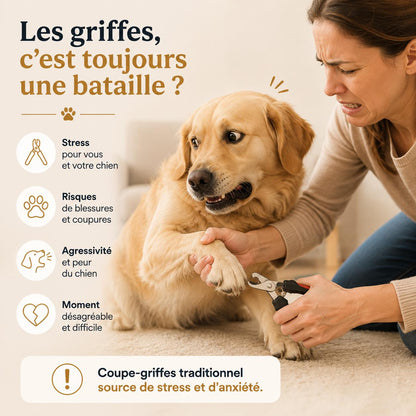 Aktoclean™️ Scratch & Play – Lime à griffes interactive pour chien