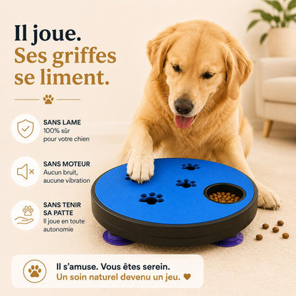 Aktoclean™️ Scratch & Play – Lime à griffes interactive pour chien