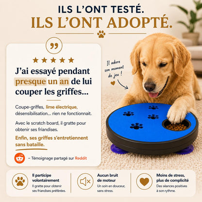 Aktoclean™️ Scratch & Play – Lime à griffes interactive pour chien