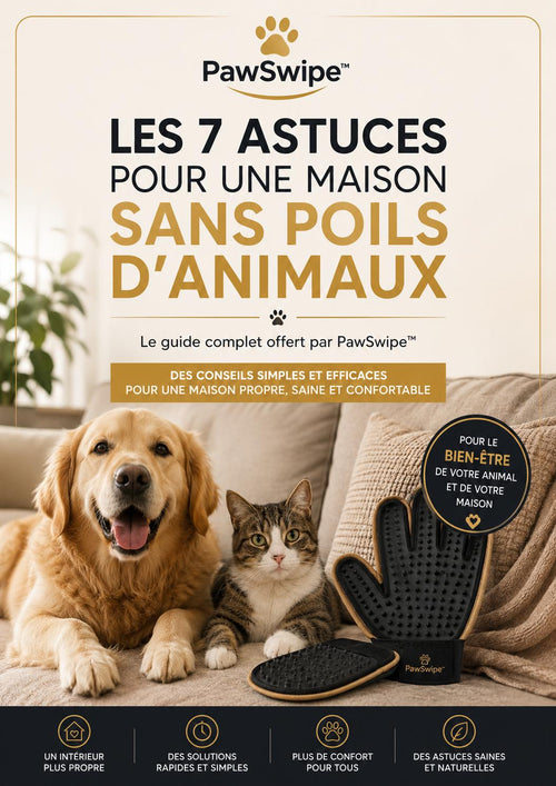 Les 7 astuces pour une maison sans poils d'animaux