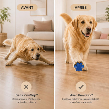 Aidez-le à retrouver ses appuis sur les sols glissants 🐾