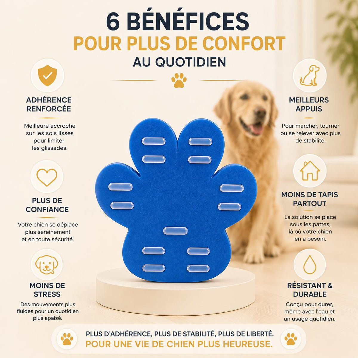 Aidez-le à retrouver ses appuis sur les sols glissants 🐾