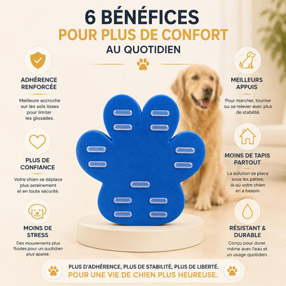 Aidez-le à retrouver ses appuis sur les sols glissants 🐾