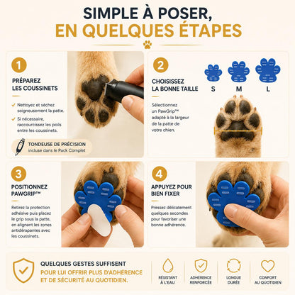 Aidez-le à retrouver ses appuis sur les sols glissants 🐾