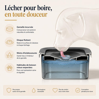 Aktoclean™️ AquaFlow — Gamelle Anti-Éclaboussures 4,5 L