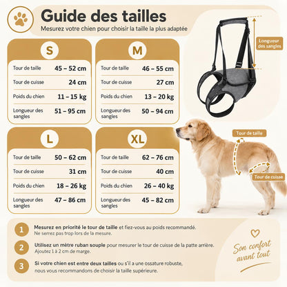 Aktoclean™️ ReLift - Harnais de soutien pour chien