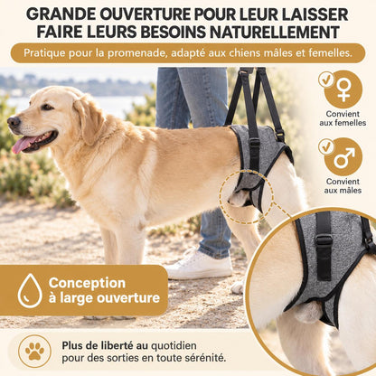 Aktoclean™️ ReLift - Harnais de soutien pour chien