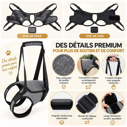Aktoclean™️ ReLift - Harnais de soutien pour chien